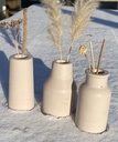 3 MINI VASES UNIS